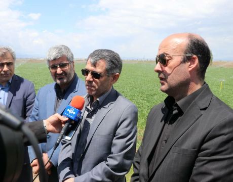 اردبیل با تلاش به قطب تولید محصولات گلخانه‌ای کشور تبدیل می‌شود