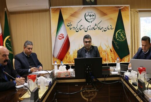 طرح الگوی کشت در استان کردستان به مرحله اجرا در می آید
