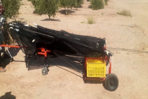 ساخت دستگاه میوه جمع کن با ابتکار یزدی‌ها 