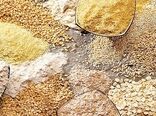 سبوس از طریق بازارچه عرضه شود/ ایجاد شبکه توزیع هوشمند محصولات نهایی