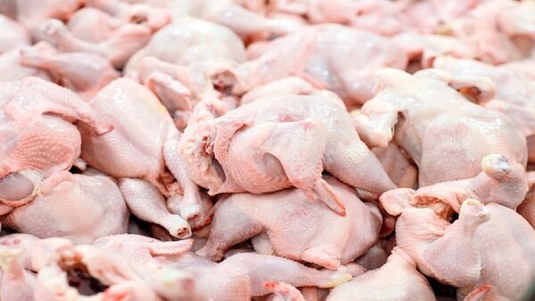صدور مجوز بهداشتی واردات 50 هزارتن گوشت مرغ گرم برای اولین بار در کشور جهت تنظیم بازار