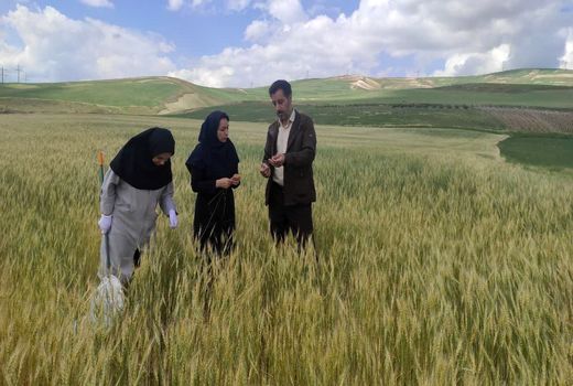 مسیر توسعه اقتصادی آذربایجان‌غربی از کشاورزی می‌گذرد