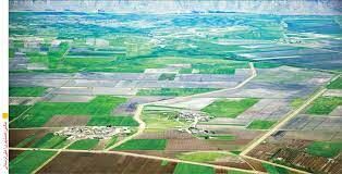 تصمیم‌گیری برای  16 پرونده اراضی کشاورزی خوزستان
