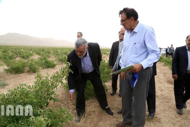 سفر وزیر جهاد کشاورزی به شهرستان میمه، استان اصفهان