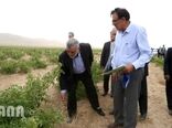 سفر وزیر جهاد کشاورزی به شهرستان میمه، استان اصفهان