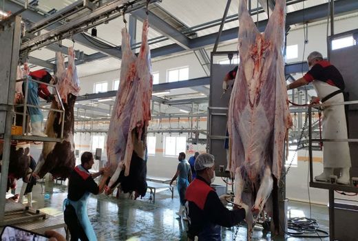 افتتاح کشتارگاه صنعتی ۱۹۵۰۰ تنی دام در ارومیه 