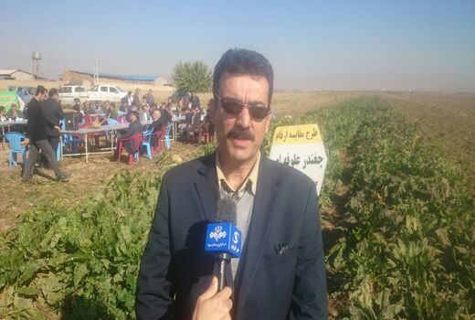 سالانه ۲۰ میلیون تن محصولات علوفه ای در کشور تولید می شود