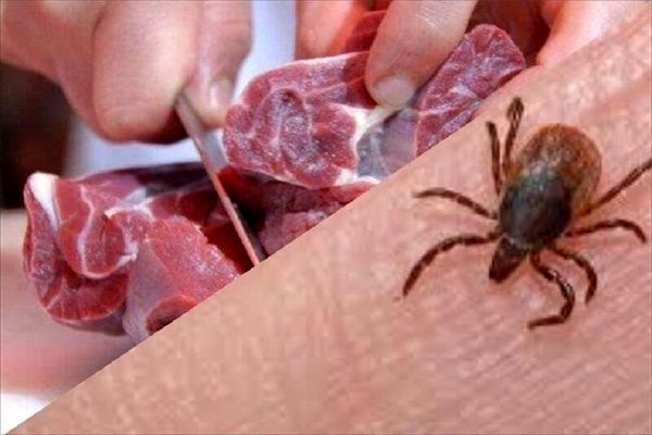 بیماری کریمه کنگو در صورت درمان نشدن صحیح موجب مرگ می‌شود 