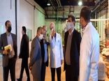 بازدید معاونین وزیر جهاد کشاورزی از سورتینگ مرکبات در ساری