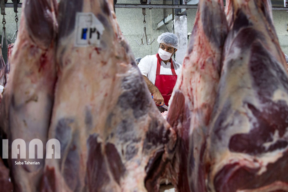 بسته‌بندی محصولات پروتئینی