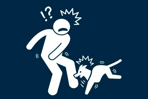 همایش ملی روز جهانی هاری برگزار می‌شود/ محوریت سلامت واحد و همکاری بین‌بخشی 