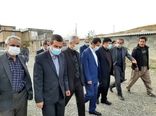 همشهریان دام زنده را از مبادی مطمئن خریداری کنند