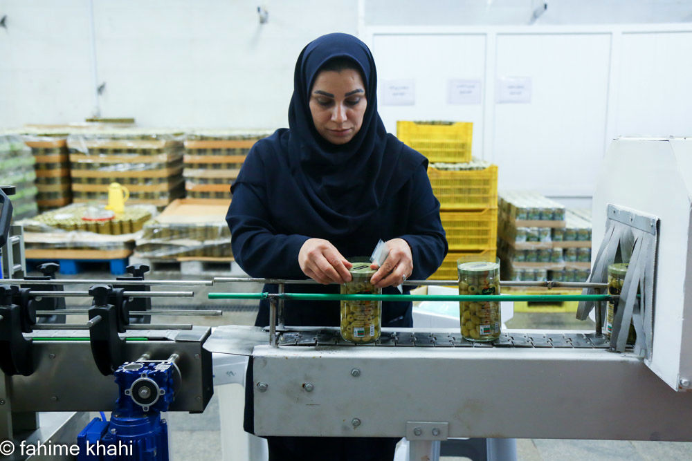 از لمس شاخه تا عصاره ی نور  