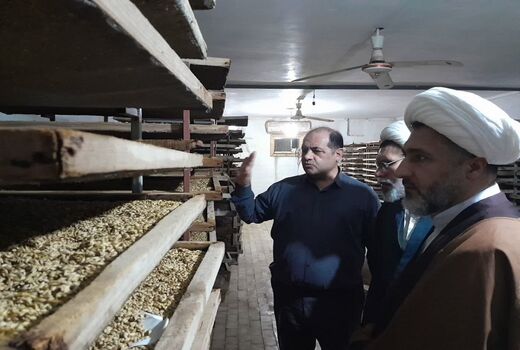 دستور کار سازمان، حذف سموم پر خطر و تولید محصول سالم است