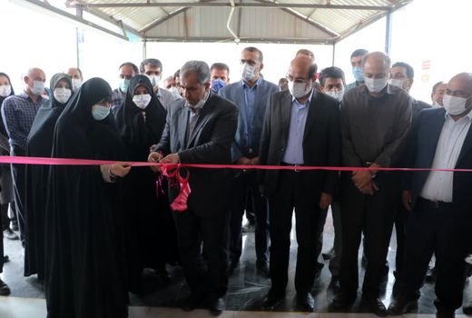 یک واحد کارخانه شالیکوبی در الموت غربی شهرستان قزوین افتتاح شد