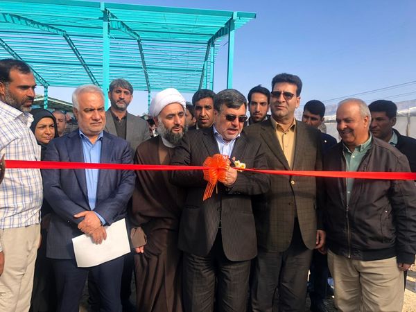 طرح توسعه ۳ هکتاری گلخانه تولید محصولات صادراتی به بهره‌برداری رسید