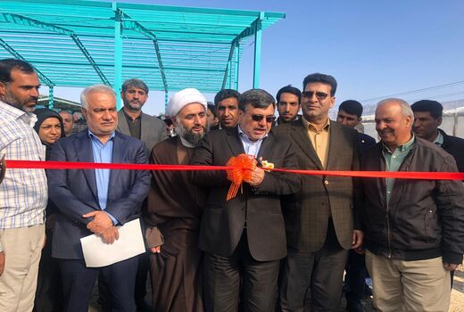 طرح توسعه ۳ هکتاری گلخانه تولید محصولات صادراتی به بهره‌برداری رسید
