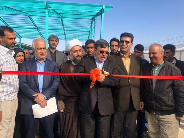 طرح توسعه ۳ هکتاری گلخانه تولید محصولات صادراتی به بهره‌برداری رسید