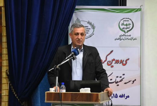 ۸۰ درصد اراضی کشاورزی آذربایجان شرقی دیم است/ ضرورت تسریع در پرداخت مطالبات گندمکاران