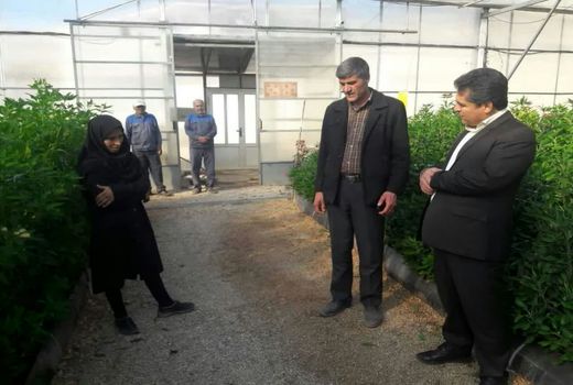 توسعه کشت‌های متراکم در شهرستان اردل