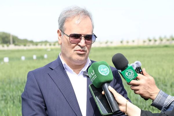  ۹۸ درصد بذر کشور حاصل ایستگاه‌های تحقیقاتی تات است
