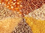نهاده‌های دامی همچنان با نرخ ۱۱هزار و ۳۰۰ تومان عرضه می‌شود/ خریداری ذخایر راهبردی فراتر از تکلیف قانونی 