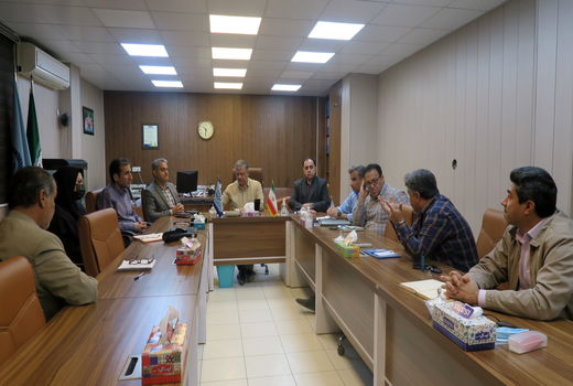 ممنوعیت ورود پست لارو میگوی بیمار به خوزستان