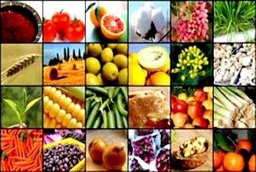 بازارسازی محصولات کشاورزی اولویت است