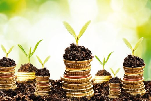 ابلاغ تسهیلات بخش کشاورزی از محل اعتبارات صندوق توسعه ملی سال 1402 