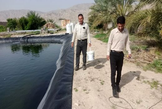 پرورش ماهی سی بس برای اولین بار در فراشبند