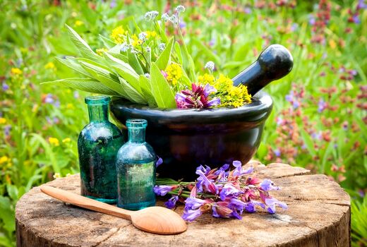 وجود20 گونه گیاهان دارویی آبیک