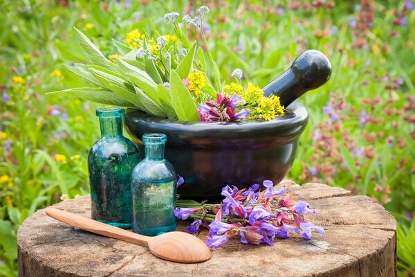 گیاهان دارویی پتانسیل جایگزینی نفت را دارند
