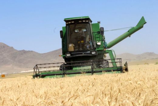 خرید گندم در آذربایجان شرقی از مرز 152 هزار تن گذشت 