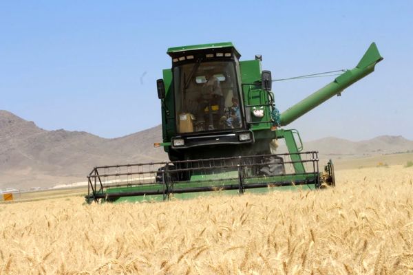 خرید گندم در آذربایجان شرقی از مرز 152 هزار تن گذشت