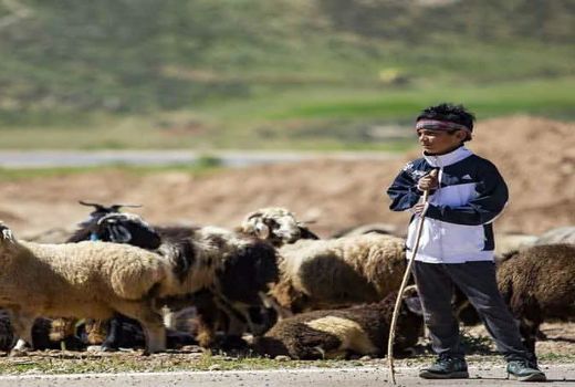 راه‌اندازی 40 خانه بهداشت سیار در مناطق عشایری چهارمحال و بختیاری