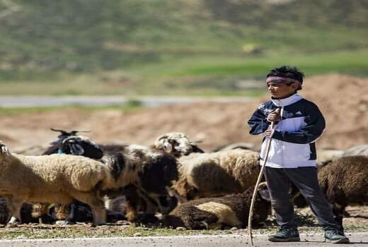 راه‌اندازی 40 خانه بهداشت سیار در مناطق عشایری چهارمحال و بختیاری