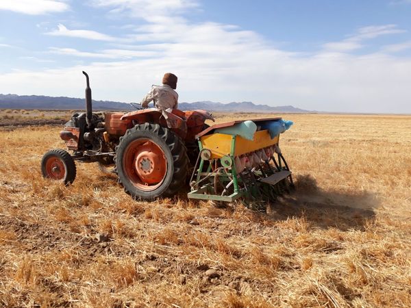 اجرای کشاورزی حفاظتی در سطح 3000 هکتاراز اراضی  کشاورزی سربیشه 