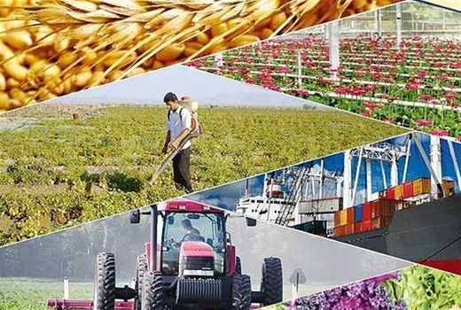 تاکید بر رصد دقیق آمار و صدور مجوزهای بخش کشاورزی متناسب با نیاز استان قزوین