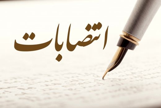 مجری طرح زیتون منصوب شد