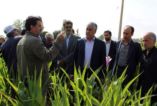  تجهیز 203 هزار هکتار از اراضی کشور به سامانه های نوین آبیاری در سال 97