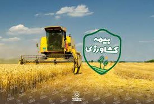 پایان دی ماه، آخرین فرصت برای بیمه کشاورزی