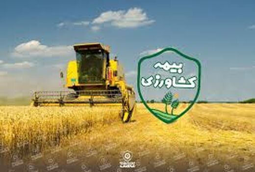 پایان دی ماه، آخرین فرصت برای بیمه کشاورزی