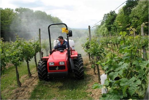 35 درصد از باغات پسته و زیتون در کشور مکانیزه برداشت می‌شود