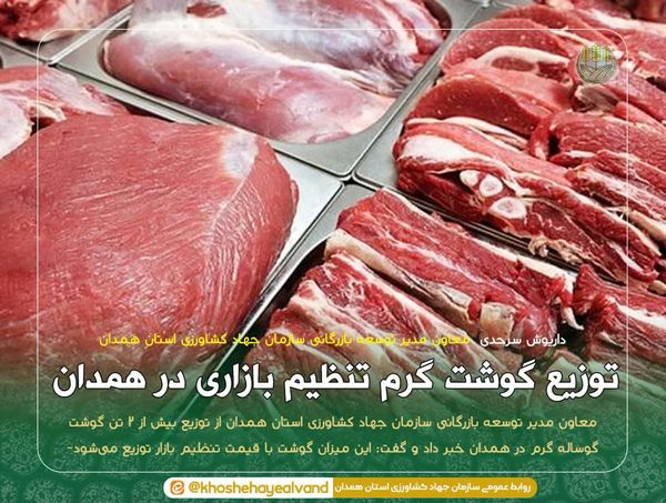 توزیع گوشت گرم تنظیم بازاری در همدان