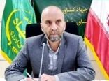 کشت محصولات پاییزه ازاولویت سازمان است