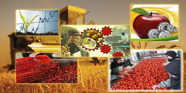 واحدهای تولیدی راکد در نی ریز فعال می شوند