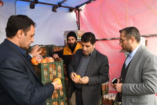 عرضه مستقیم میوه نوروزی در آذربایجان شرقی با 15 درصد زیر قیمت بازار