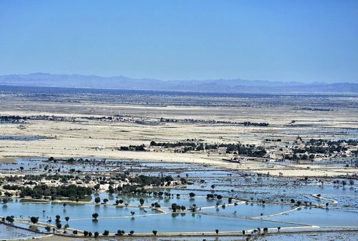 اقدامات وزارت جهاد کشاورزی در استان‌های سیل‌زده سیستان و بلوچستان، هرمزگان و کرمان