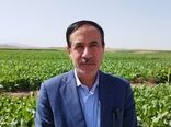 خاک پایه‌ زندگی است؛ پاسداری خاک وظیفه‌ی مشترک همه‌ ماست