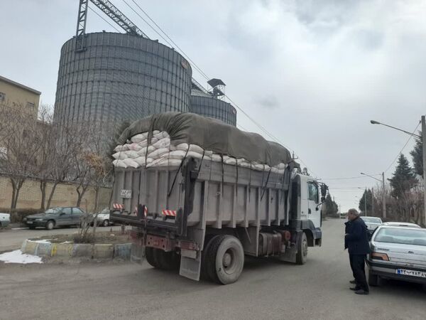 ارسال۱۰ تن سبوس گندم توسط جهاد کشاورزی زنجان ُبرای دامداران آسیب دیده از زلزله‌ خوی